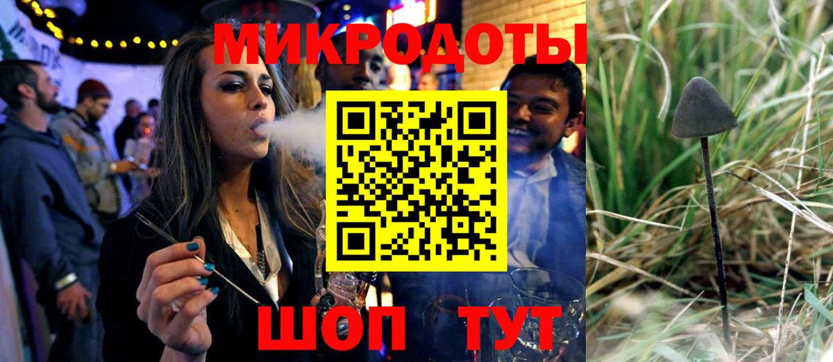 Галлюциногенные грибы Psilocybe Курск