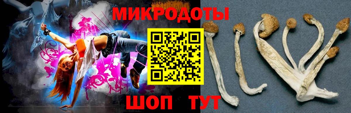 Галлюциногенные грибы мицелий  Галлюциногенные грибы GOLDEN TEACHER  Вход с VPN  Курск 